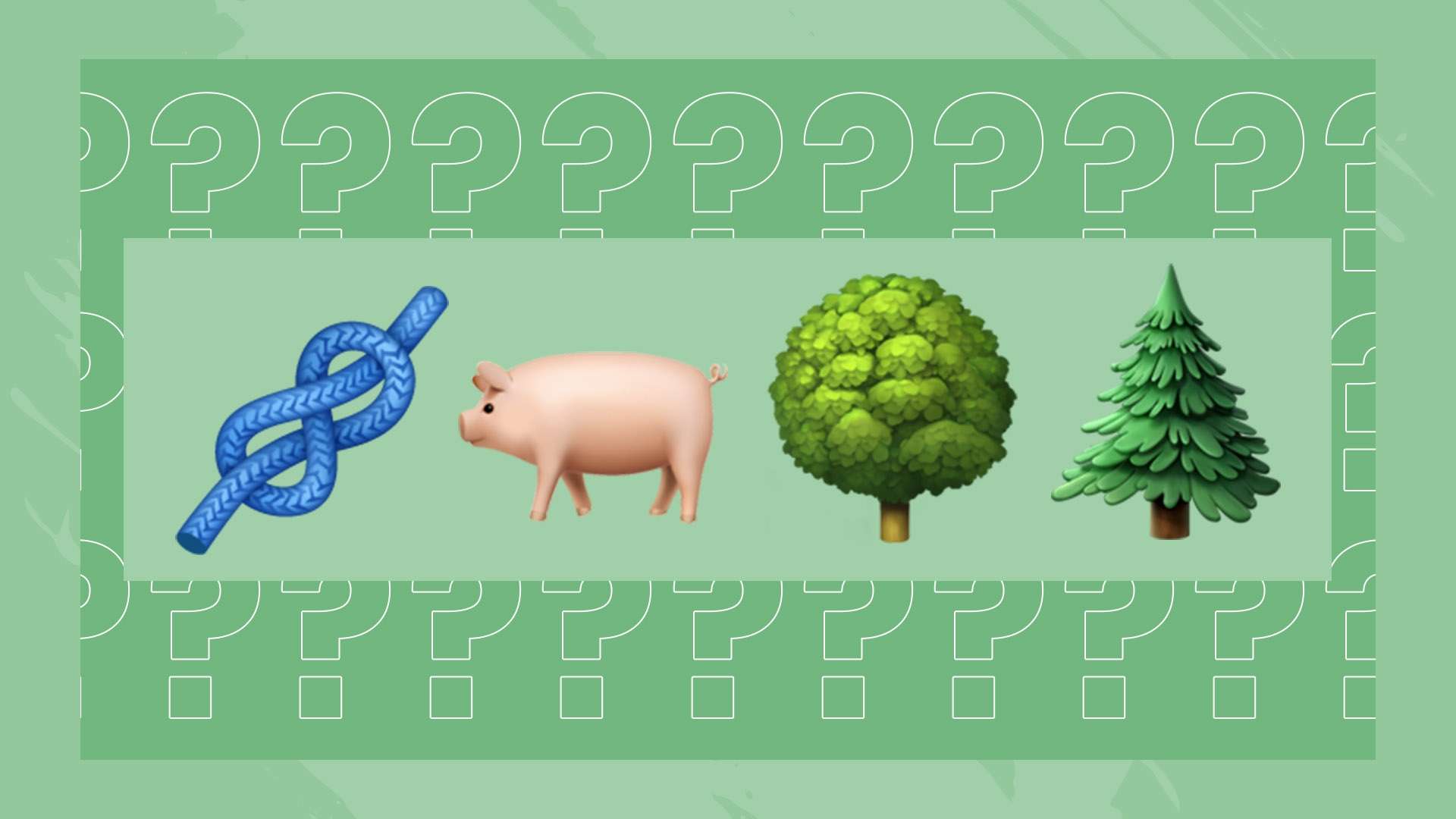 从赛事背后 从赛事背后