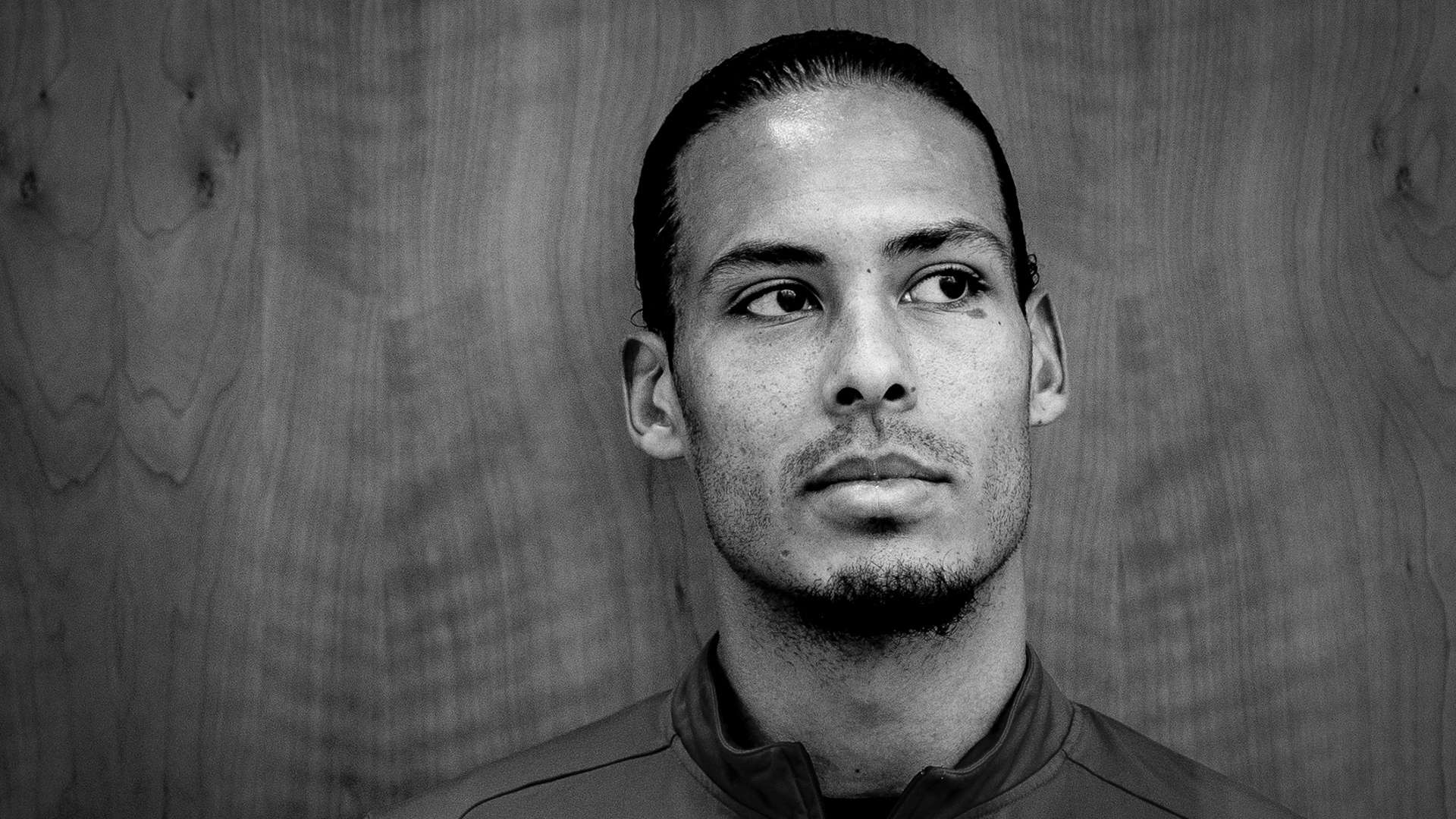 总能引发广 总能引发广