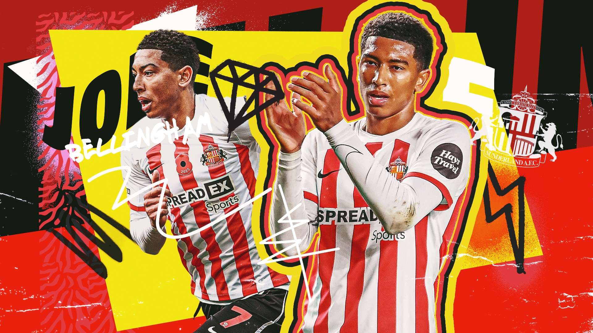 山东队在本 山东队在本